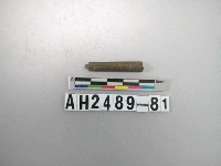 藏品(磨製石針)的圖片